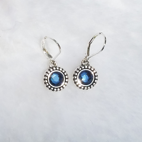 Jewelry - Beautiful Blue stone dangles